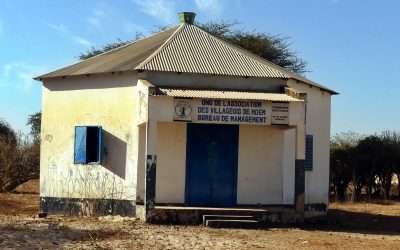 Un nouveau reportage de L’ONG