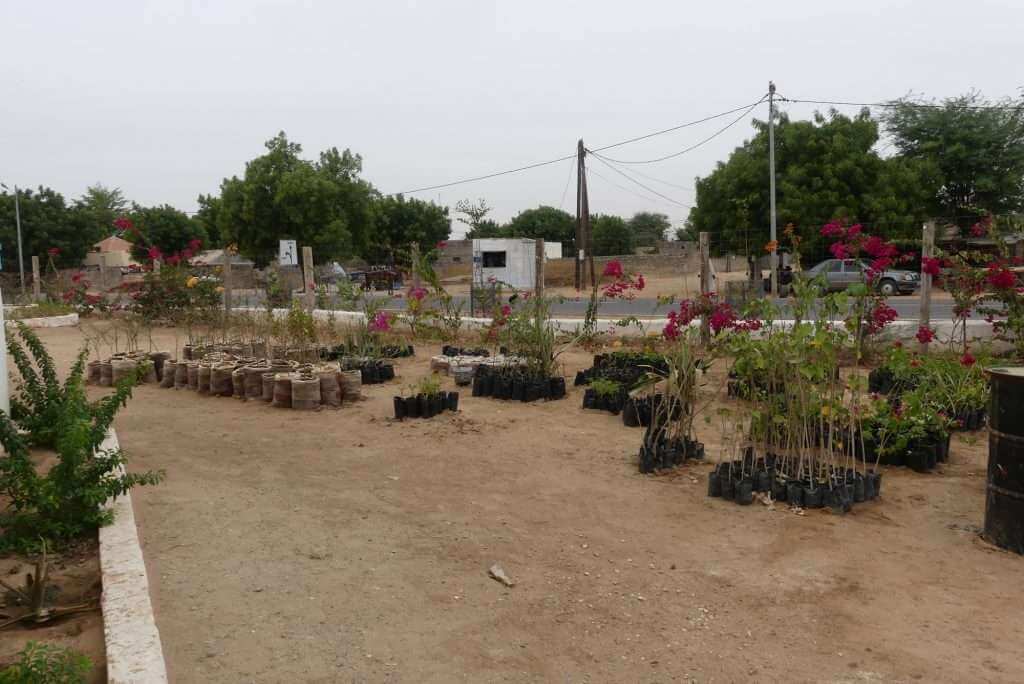 Magasin Darou Marnane