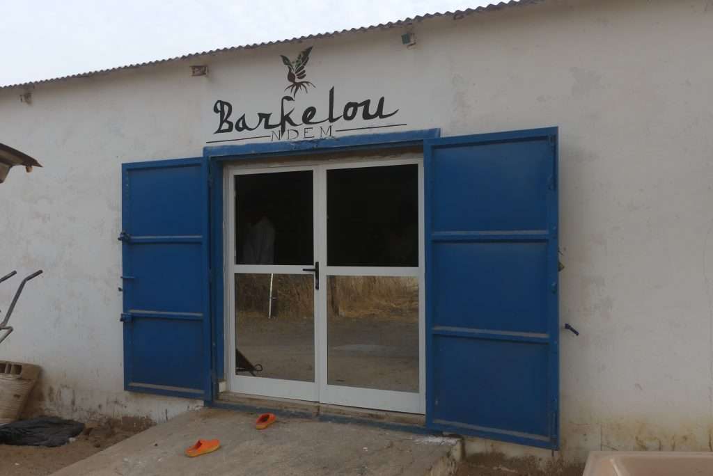 barkelou1