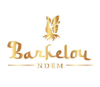 logo barkelou ndem