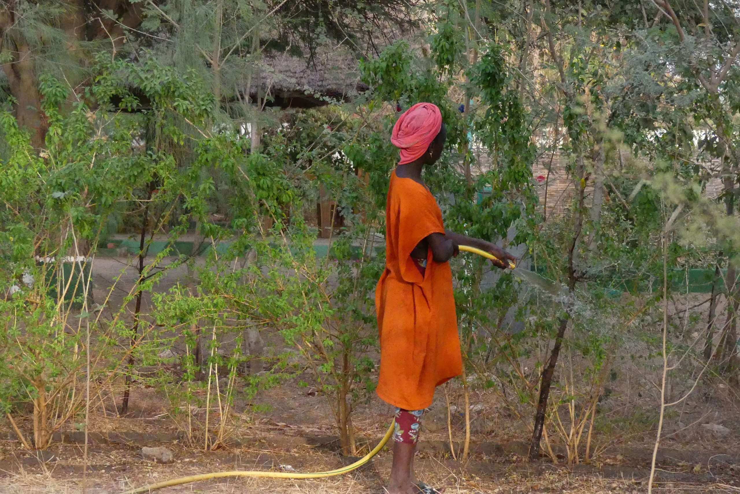 club nature (7) club nature