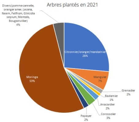 arbres plantés en 2021