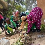 Éco Jeunes Solidaires