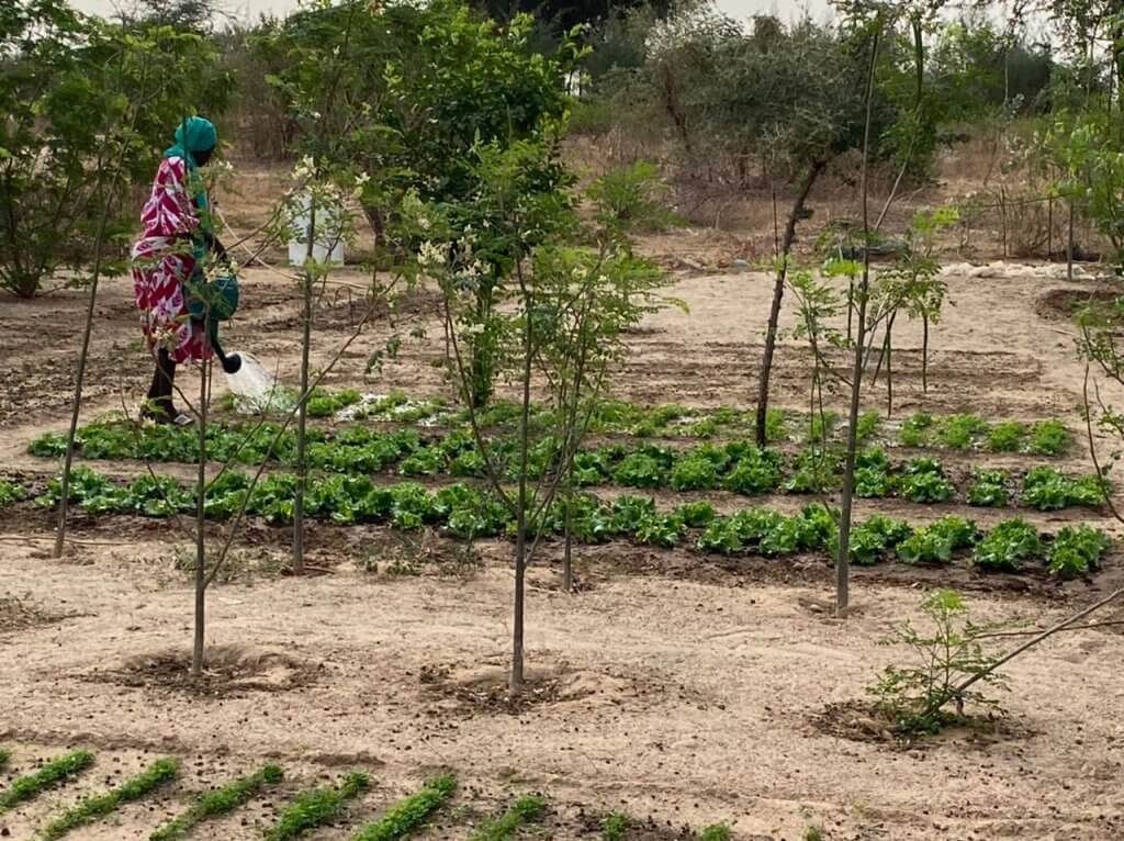 Fondation Château d'eau Ferme Gouille Mbindi